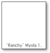 





‘Ranchy’ Myola 1.